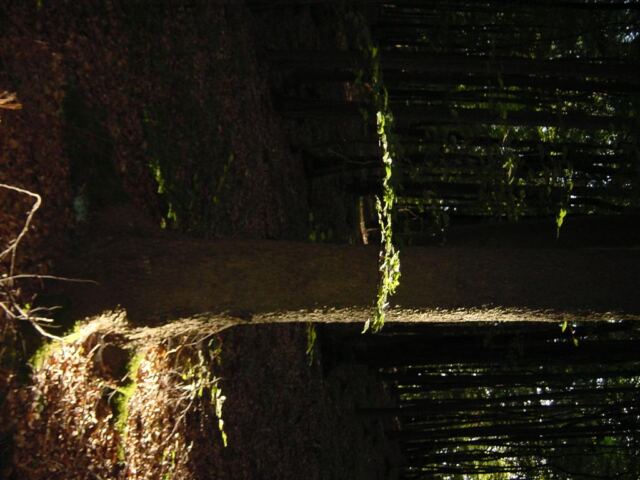 interesting-lighting-effects