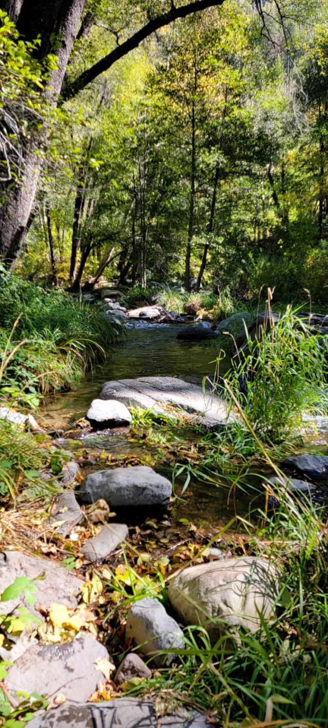 Junipine Creek views (11)