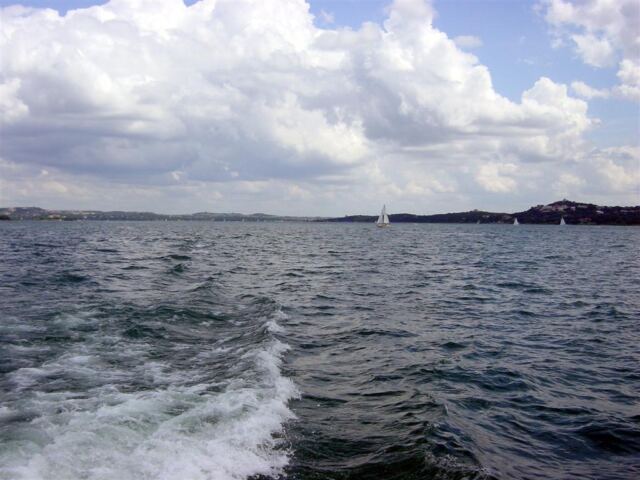 sailboats-on-lake-travis