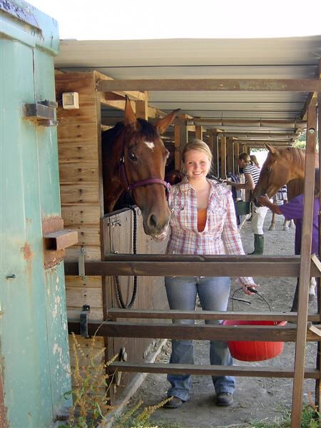 Putting up the horses