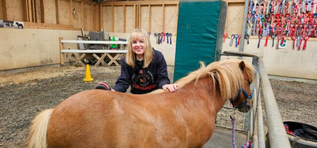 The Shetland Pony Experience 53