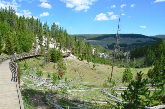 Walking back down the steep boardwalk
