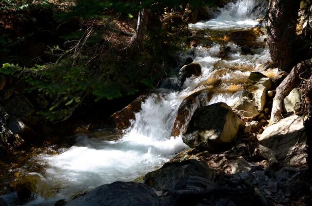 Pathside stream (4)