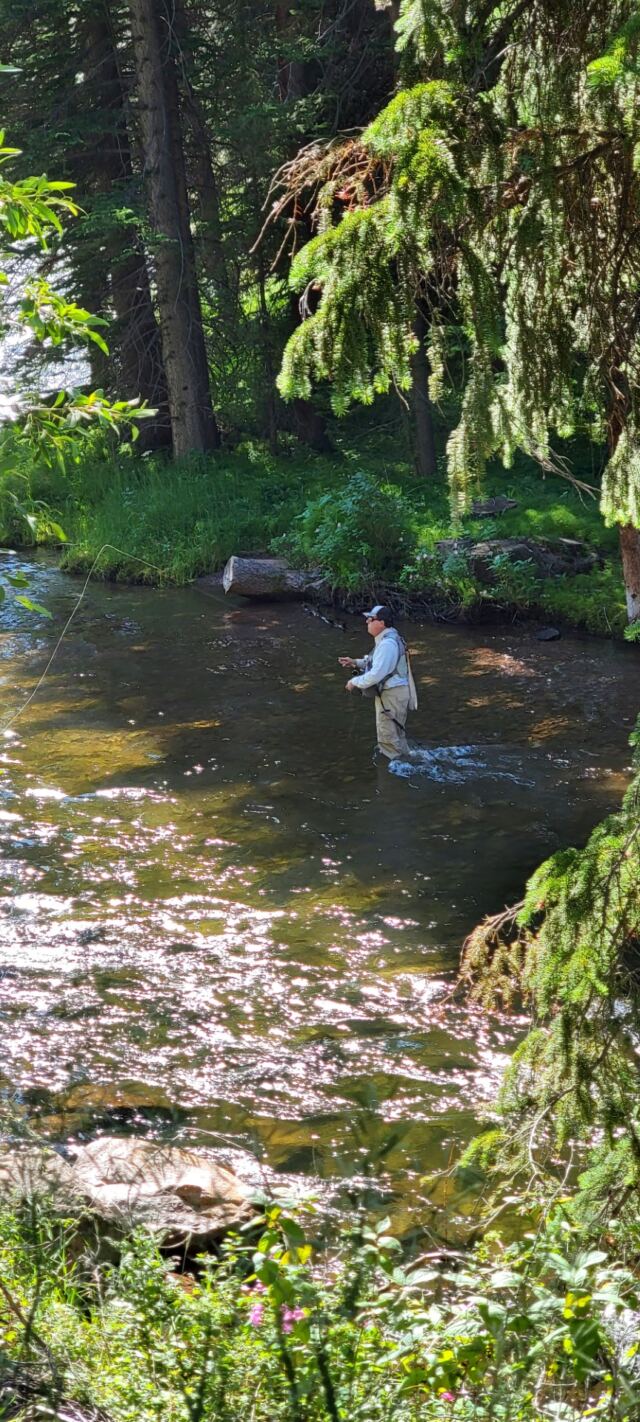 Fly fishing 1