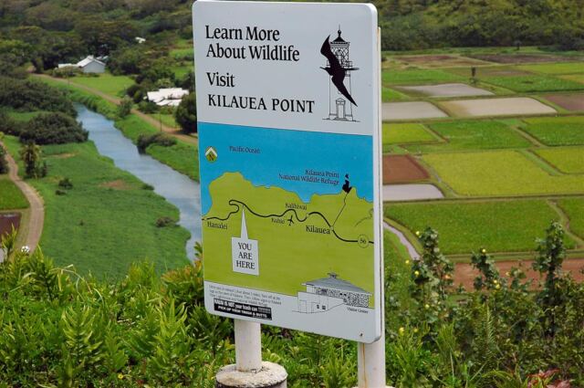 Wildlife sign