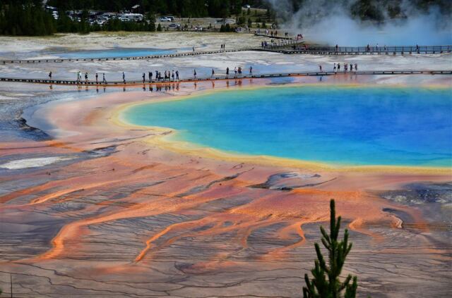 Grand Prismatic - from atop hill on Fairy Falls trail (5)