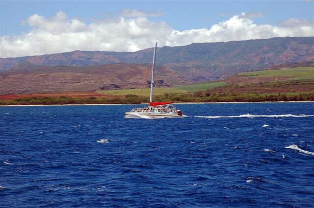 Blue Dolphin sister catamaran