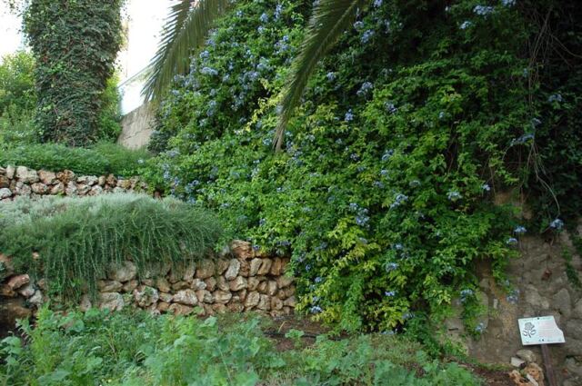 Gardens along wall