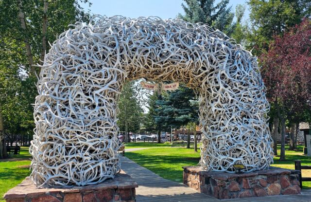 Jackson Antler Arches (1)