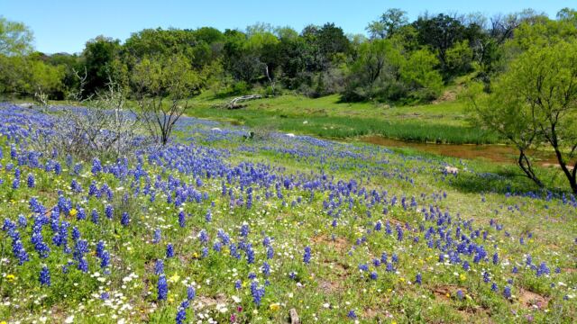 Willow Loop valley 5