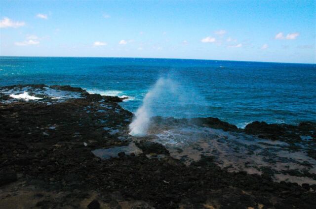 Spouting Horn (4)