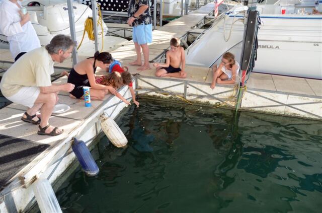 feeding-fish-in-the-marina