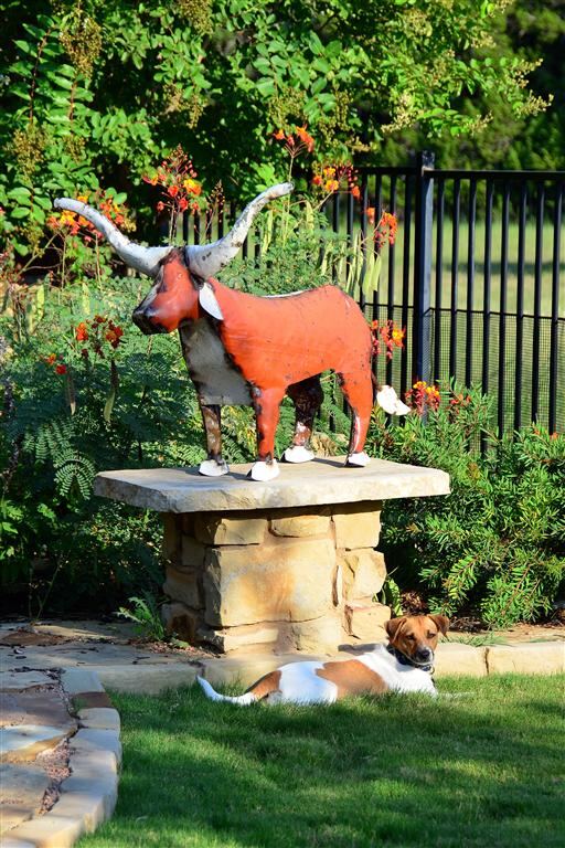 yeah-it-s-me-and-bevo