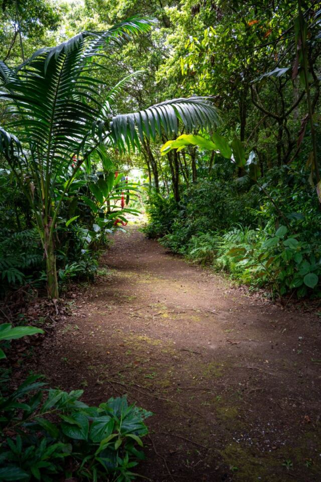 Liamuga Natural Farm tour (37)