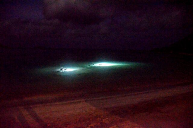 Night snorkeling 1