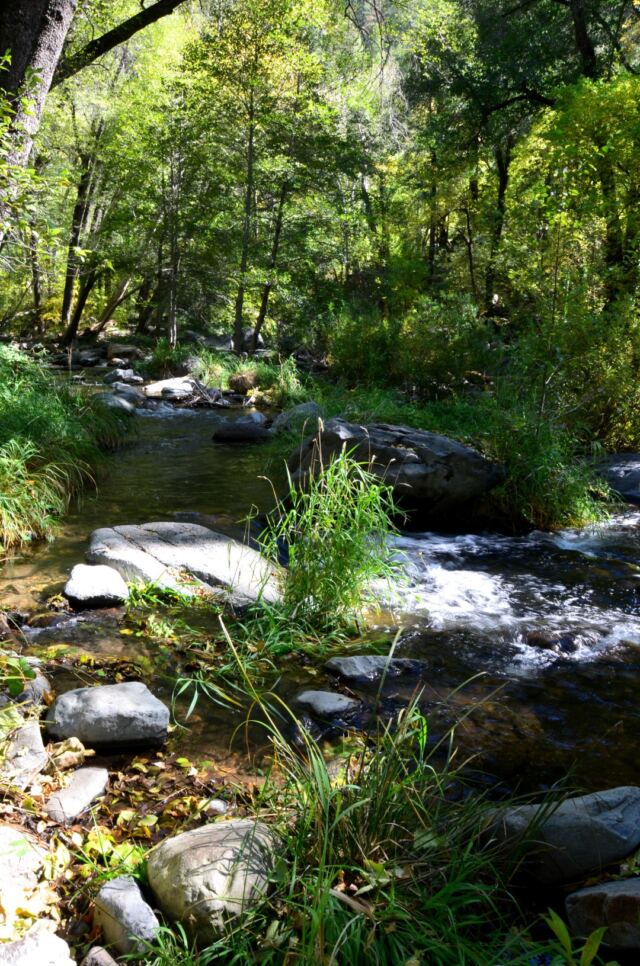 Junipine Creek views (19)