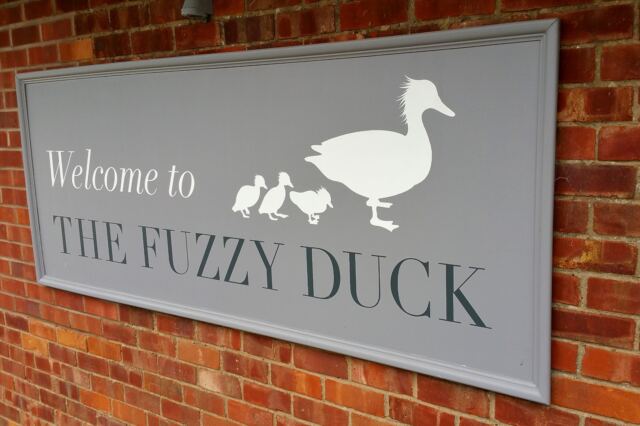 The Fuzzy Duck