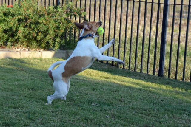 get-it-on-the-bounce-