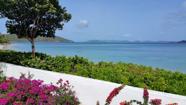 Another beautiful Mahoe Bay morning 1