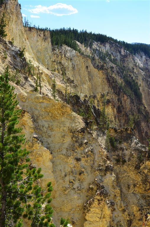 Yellowstone Grand Canyon from South Rim (2)