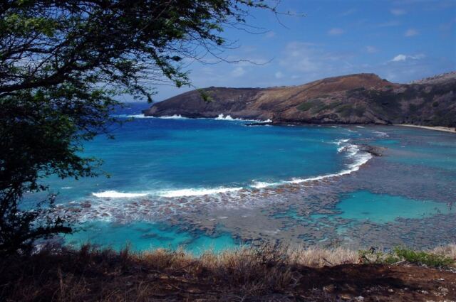 Hanauma Bay from above