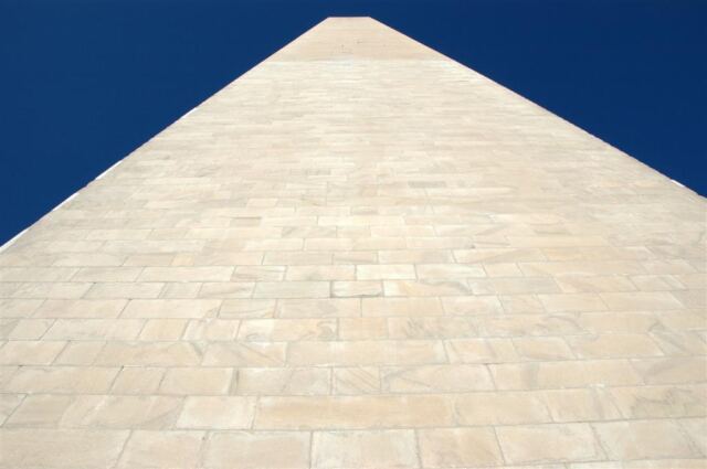Looking up (3)
