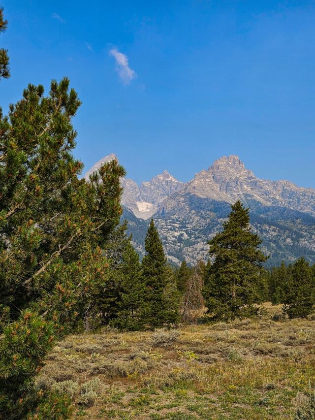 Teton Glacier Turnout (1)