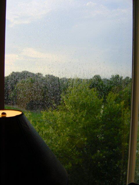 Oh look... it's raining again