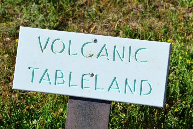 Not my kind of table!