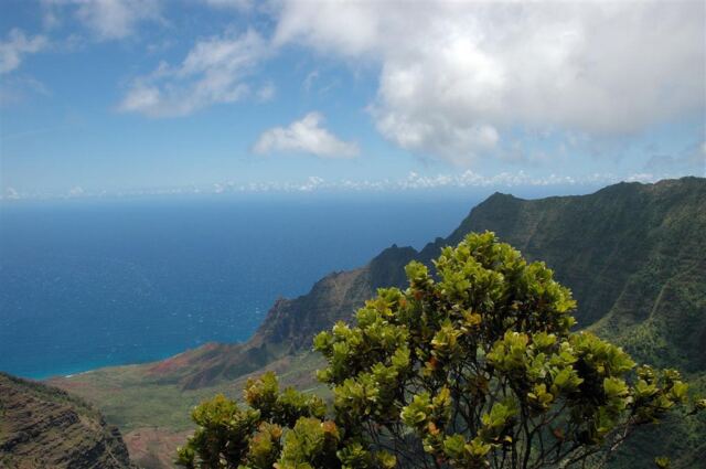 Kalalau Valley (30)