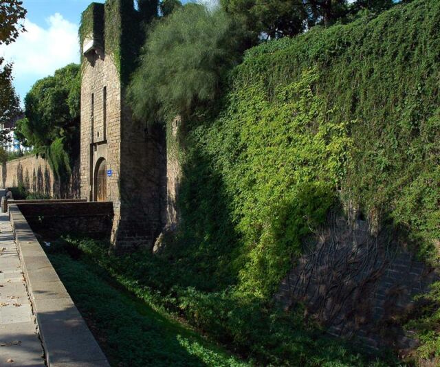 Old city walls (1)