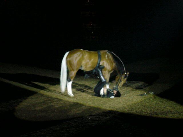 Arabian Nights - during show