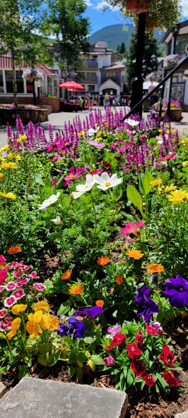 Vail Village flowers 1