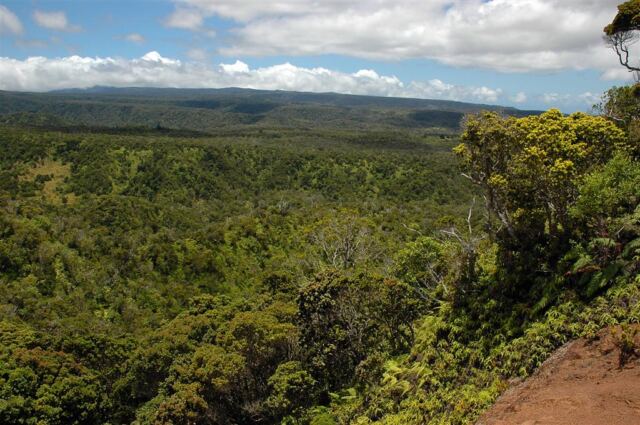 Kalalau Valley (34)
