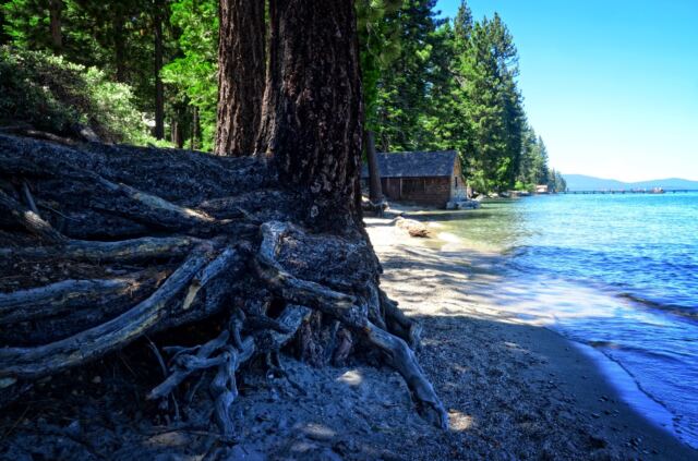 Sugar Pine Point Beach 02