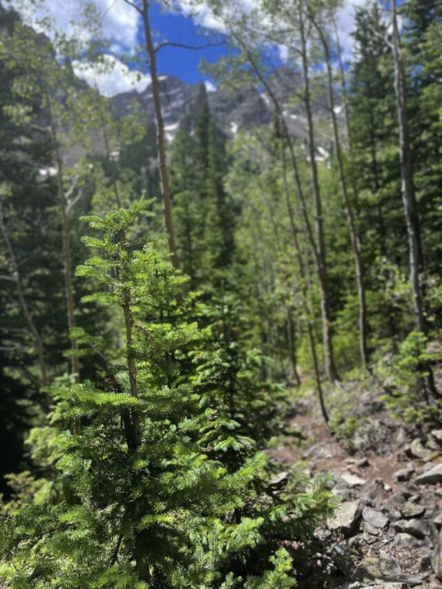 Crater Lake hike 05