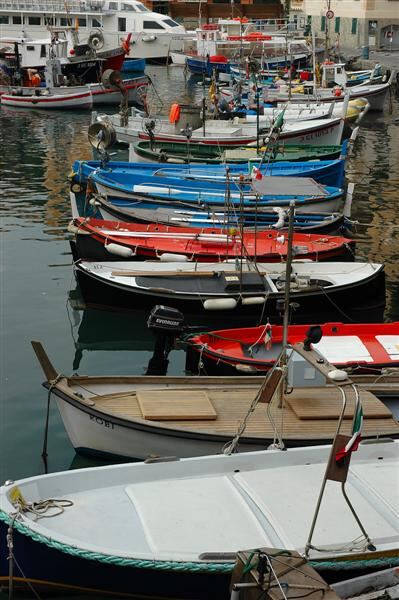 Row of boats