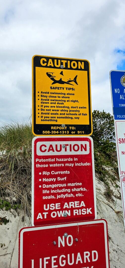 Mayflower Beach 01