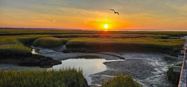 Nantucket sunset 07