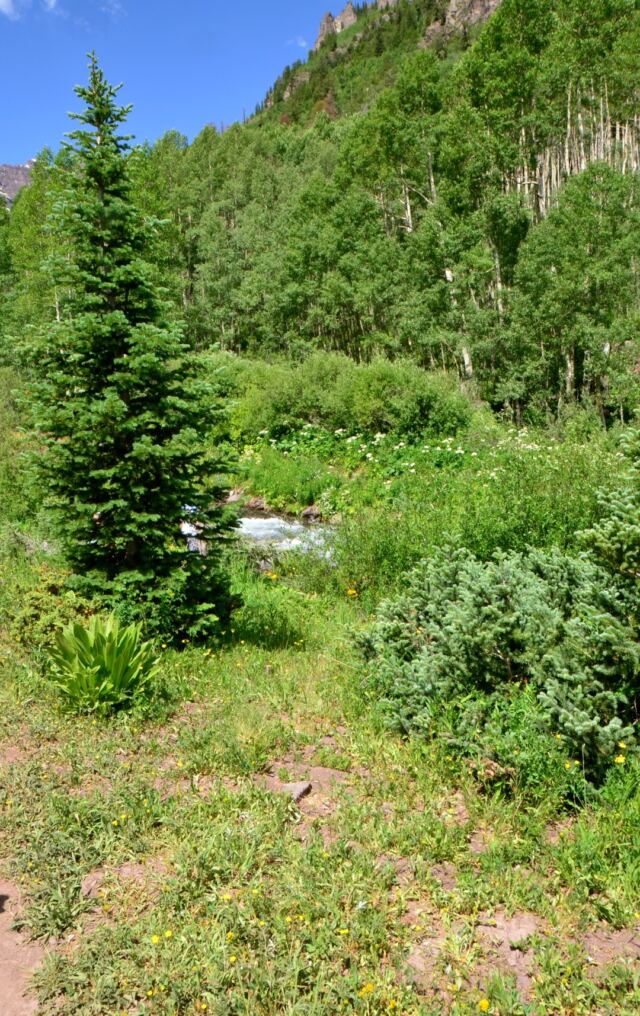 West Maroon Creek Falls 01