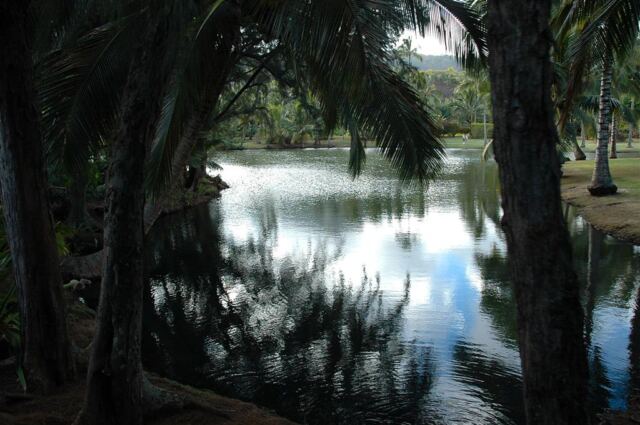 Quiet spot