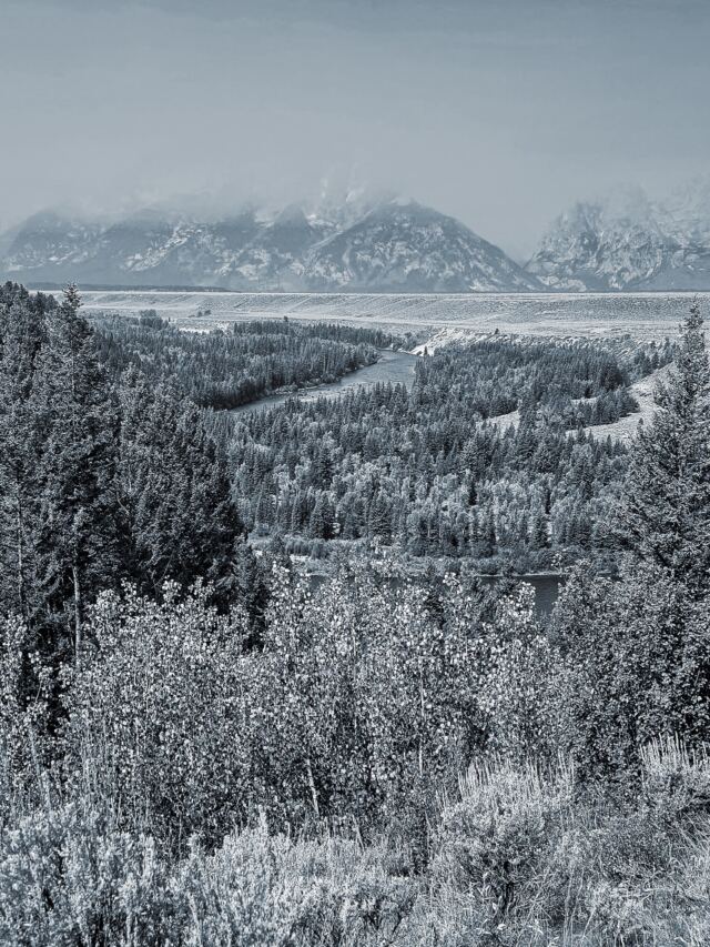 Snake River Overlook (4)