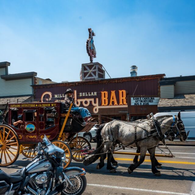 Million Dollar Cowboy Bar (2)