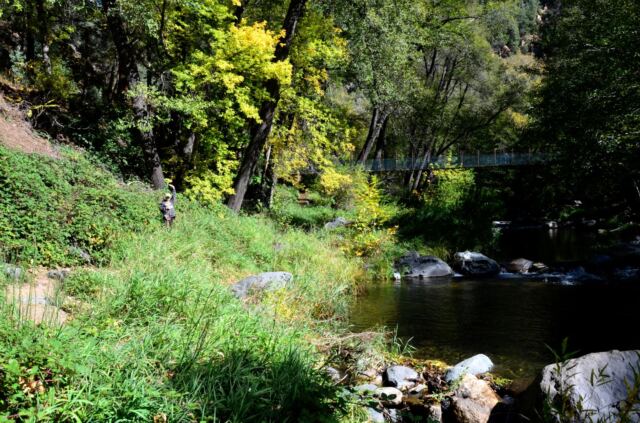 Junipine Creek views (21)