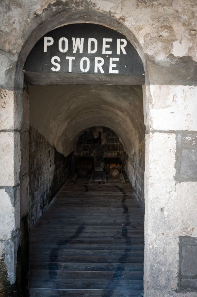 Brimstone Hill Fortress (33)