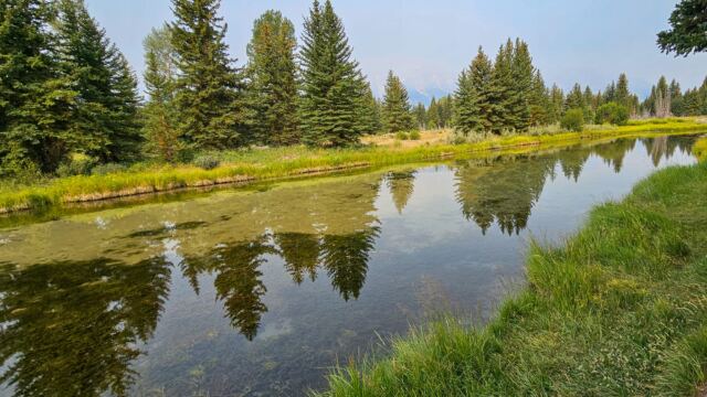 Schwabacher Landing (04)