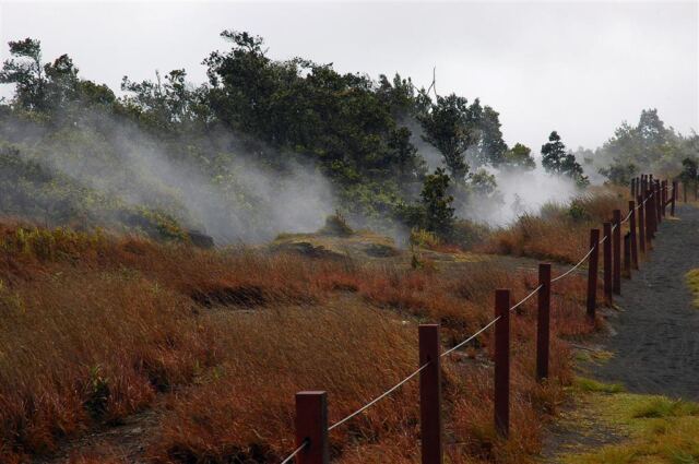 Steam vents