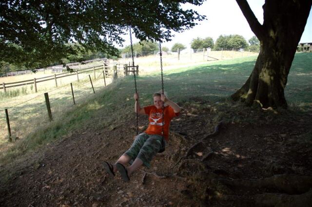 Melanie swings from the tree (2)