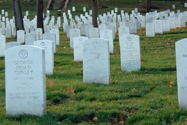 Arlington markers (9)