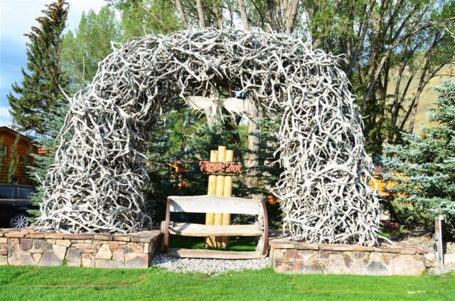 Morning light on the antler arch